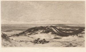 Il serpente marino