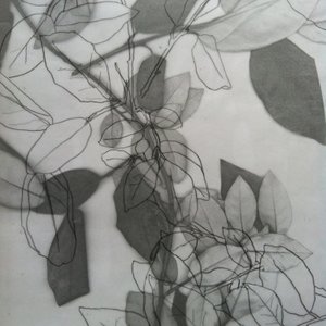 Botanica, 2014 (digitale) da Stephen Dow