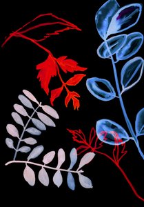 Flora notturna IV, 2018 (digitale)
