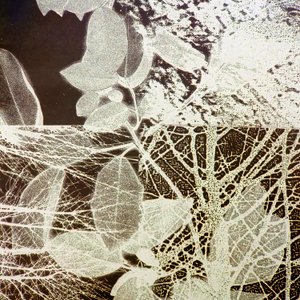 Foresta notturna, 2018 (digitale) da Stephen Dow