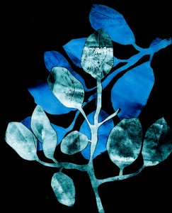 Giardino notturno, 2017 (digitale, da un collage)