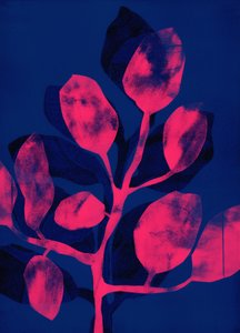 Giardino estivo III rosa, 2018 (digitale)