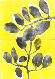 Giardino d