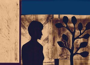 Lacrime I Beld 121, 2016