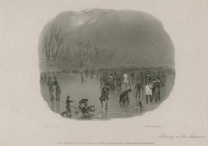 Pattinaggio sulla Serpentine, Hyde Park, Londra da Stephen Pearce