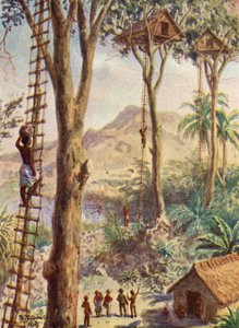 Illustrazione della vita del vescovo Patteson (litografia a colori) da Stephen T. Dadd