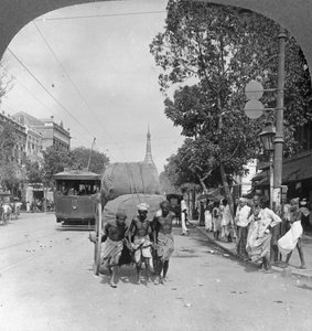 Via Dalhousie, la più trafficata della città, Rangoon, Birmania da Stereo Travel Co
