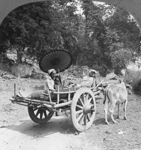 Famiglia in viaggio nella giungla vicino a Mingun, Birmania, 1908