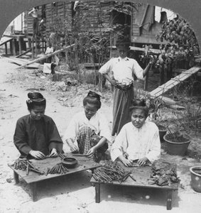 Produzione dei grandi sigari fumati dalle donne, Birmania, 1908 da Stereo Travel Co