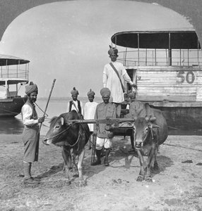 Carro da trasporto militare con scorta di soldati indiani, Birmania, 1898 da Stereo Travel Co