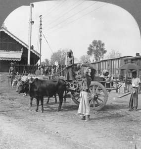 Tipica stazione ferroviaria, Katha, Birmania, 1908 da Stereo Travel Co