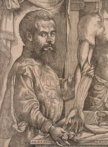 Andreas Vesalius che disseziona i muscoli dell