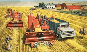 Mietitrebbie raccolgono il grano nelle vaste pianure del Canada da Stobo Stobo