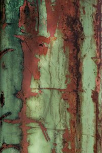 Texture verde ruggine da Studio Meikle