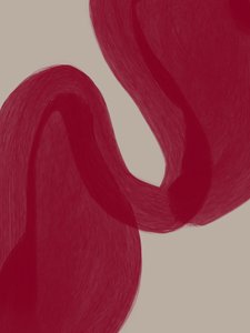 Curve rosse sinuose da Studio Palette