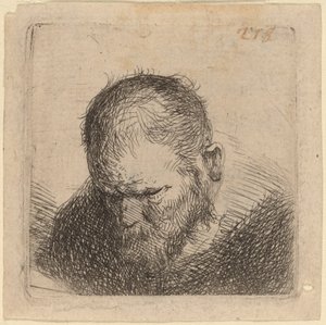Uomo barbuto che guarda in basso da Studio of Rembrandt van Rijn