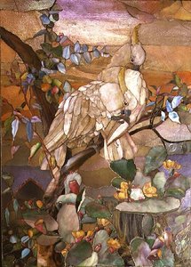 Cacatua crestato di zolfo, tradizionalmente attribuito a Joseph Briggs