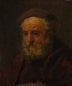 Studio della testa di un vecchio da Style of Rembrandt