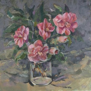 Camelie da Sue Wales