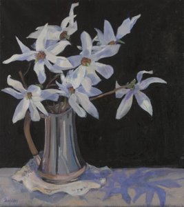 Magnolie bianche in brocca d