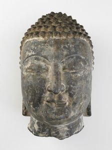 Testa colossale di Buddha
