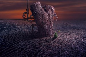  da Sulaiman Almawash