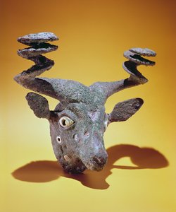 Testa di toro, dall