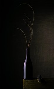 Natura morta con bottiglia scura da Sumit Dhuper