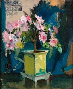Camellia, c.1920