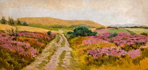 Paesaggio con erica