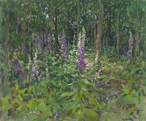 Digitale purpurea