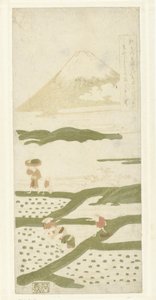 Piantatori di riso da Suzuki Harunobu