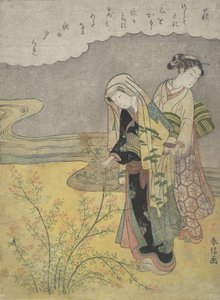 Il trifoglio cespuglio Hagi, ca. 1766