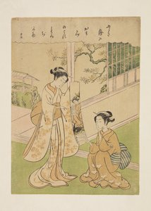 Opera sconosciuta di Yoneyama Teiga da Suzuki Harunobu