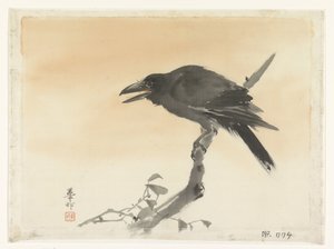 Corvo da Suzuki Kason