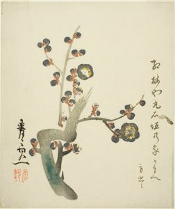 Ramo di susino rosso in fiore da Suzuki Kiitsu