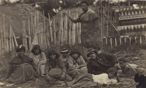 Nel Pawhakiro Pa, Hawkes Bay, Nuova Zelanda, c.1865 da Swan and Wrigglesworth
