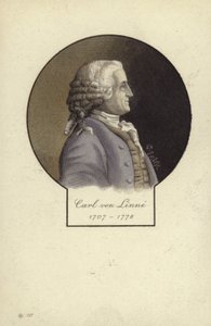 Carl Linnaeus (1707-1778), botanico e zoologo svedese da Swedish School
