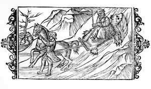 Cavallo che trascina sulla neve una pelle d