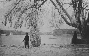 Alle Eaux-Vives a Ginevra, Inverno 1896
