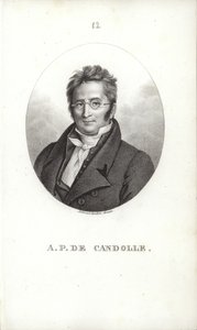 Augustin Pyramus de Candolle da Swiss School