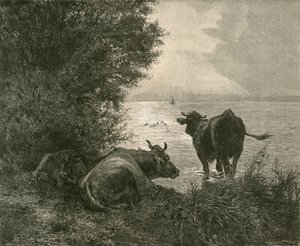 Mattina presto sul Lago di Zurigo da Swiss School