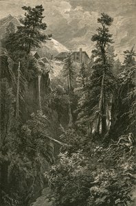 Gola nel Passo del Bernina da Swiss School