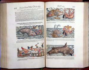 Smembramento di una balena e caccia alla balena, dall