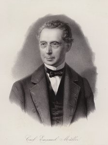 Karl Emanuel Muller, ingegnere civile e politico svizzero da Swiss School