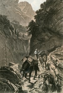 Cavalli da soma attraversano un passo di montagna da Swiss School