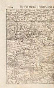 Pagina 1004 da Cosmographiae Universalis di Sebastian Muenster, Basilea, 1572 da Swiss School