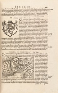 Pagina 983 da Cosmographiae Universalis di Sebastian Muenster, Basilea, 1572 da Swiss School
