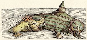 Creature marine, illustrazione da 