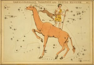 Camelopardalis, Tarandus e Custos Messium, Illustrazione da 